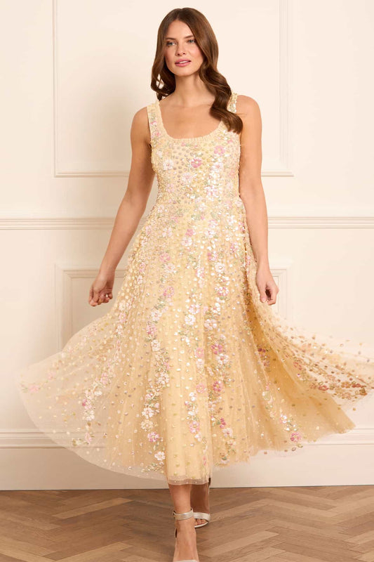 Confetti Scoop Neck Ballerina Dress